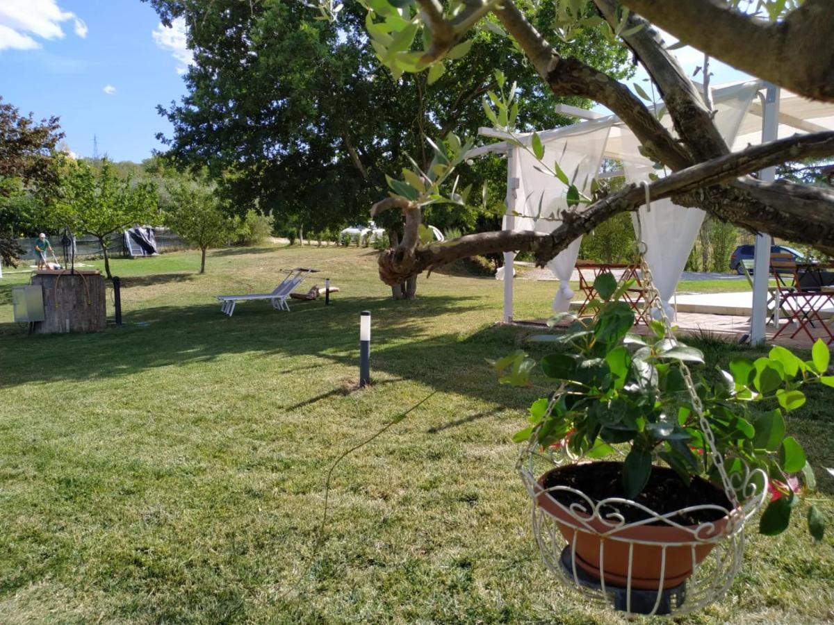 La Silvana B&B Coriano Kültér fotó
